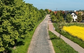 fotob-8277